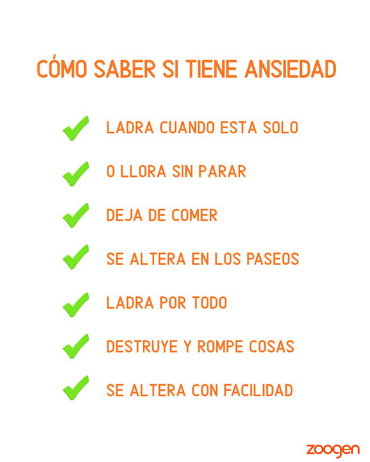 Flores de Bach 🌼 - Ansiedad para Perros y Gatos