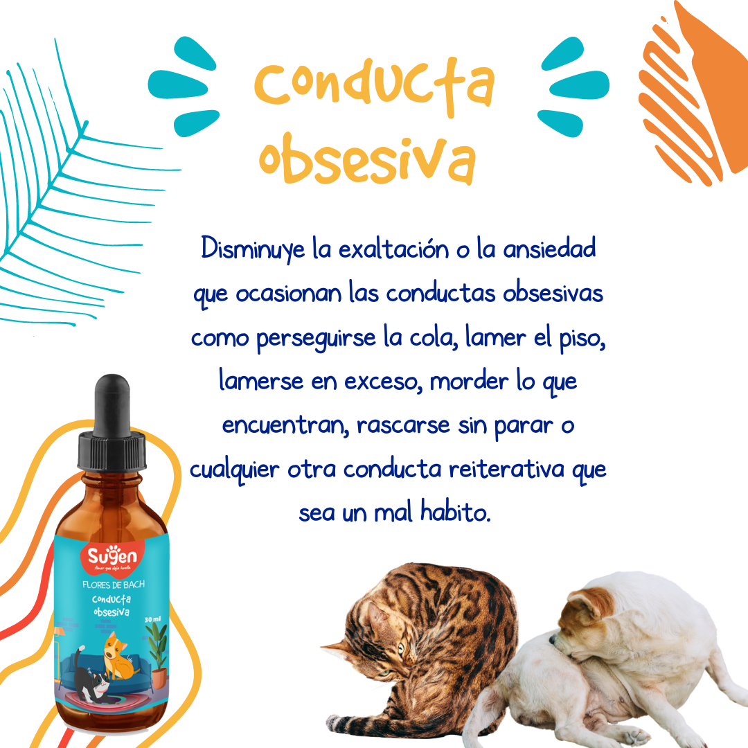 Flores de Bach - Conducta Obsesiva