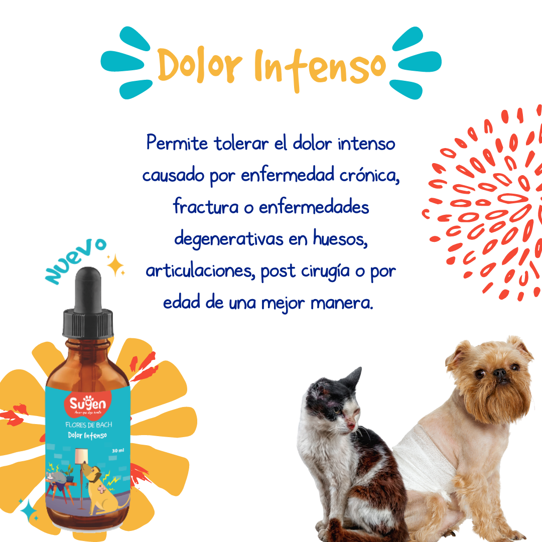 Flores de Bach - Dolor Intenso