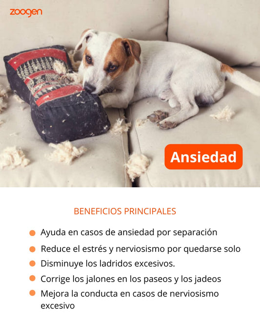 Flores de Bach para ANSIEDAD - Terapia Floral Perros y Gatos