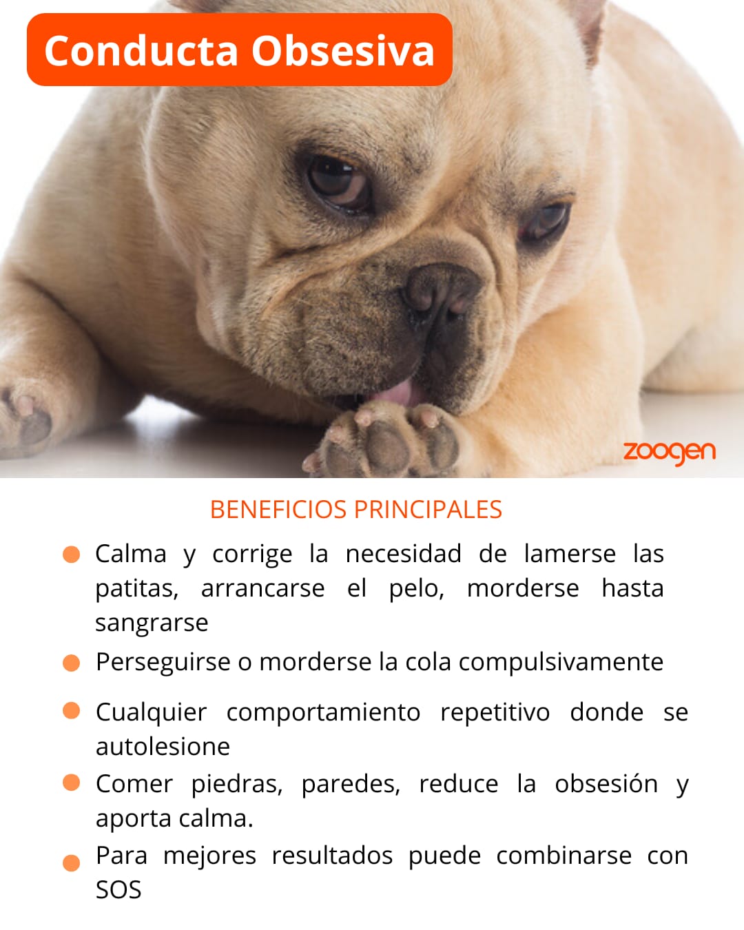 Terapia Floral - Conducta Obsesiva (perros y gatos)