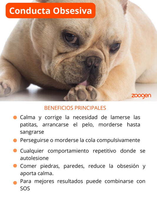 Flores de Bach para Conducta Obsesiva - Reduce Lamido y Comportamientos Repetitivos