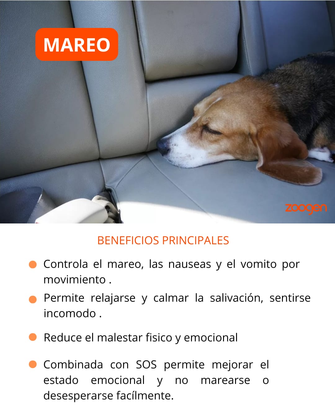 Terapia Floral - Mareo (perros y gatos)