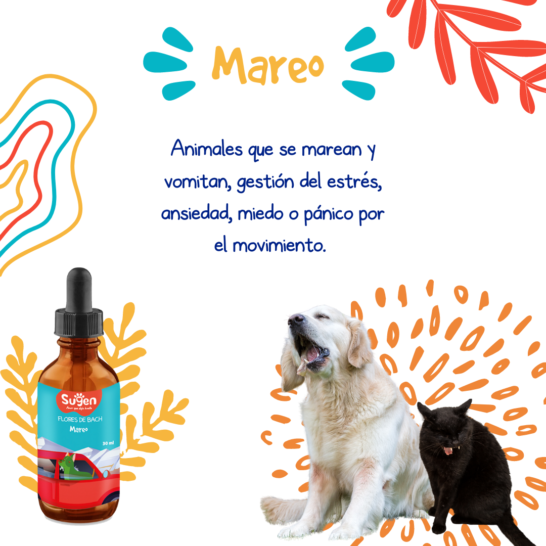 Flores de Bach - Mareo
