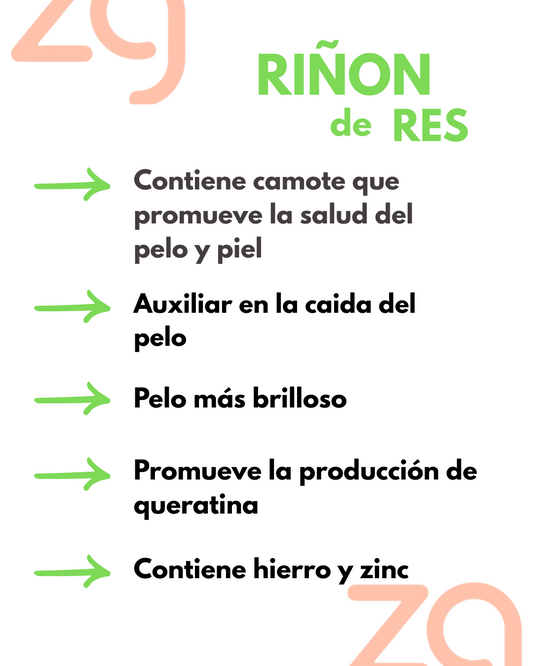 Riñón de Res Deshidratado - 40g