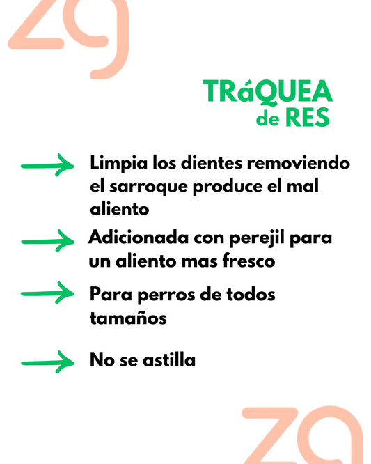 Tráquea de Res Deshidratada con Perejil 🦷 - Aliento Fresco y Dientes Limpios