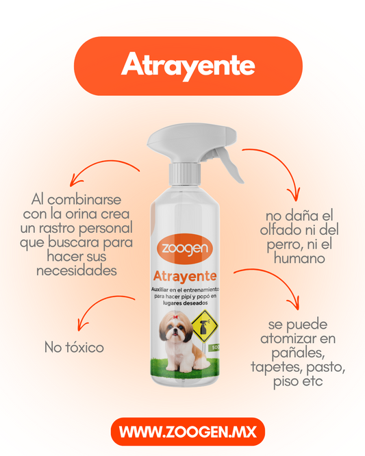 Atrayente para Entrenamiento - Enseña a tu Perro Dónde Hacer Pipí
