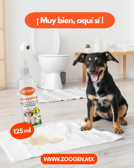 Atrayente para Entrenamiento - Enseña a tu Perro Dónde Hacer Pipí