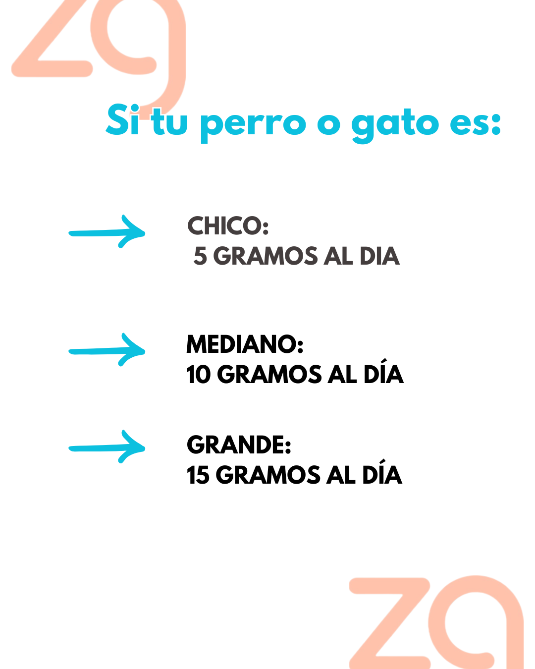 Charales deshidratados con cúrcuma 35gr