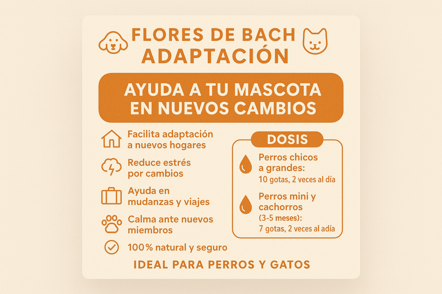 Infografía Flores de Bach Adaptación Actualizada