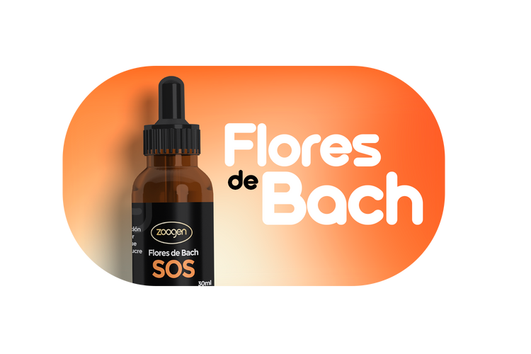 Flores de Bach