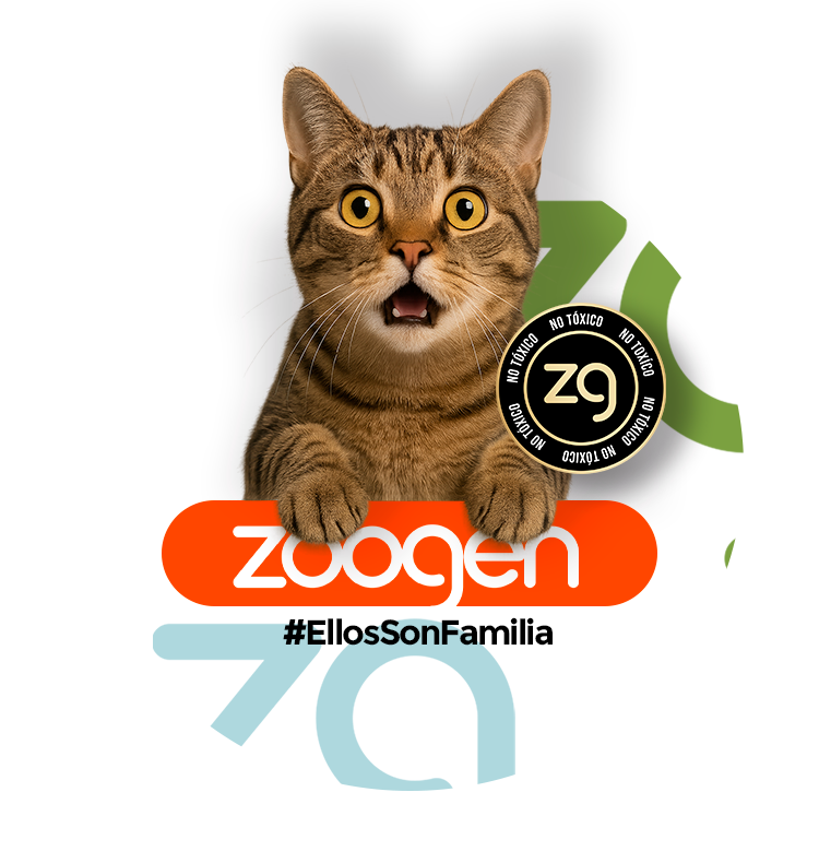 Linea Gato
