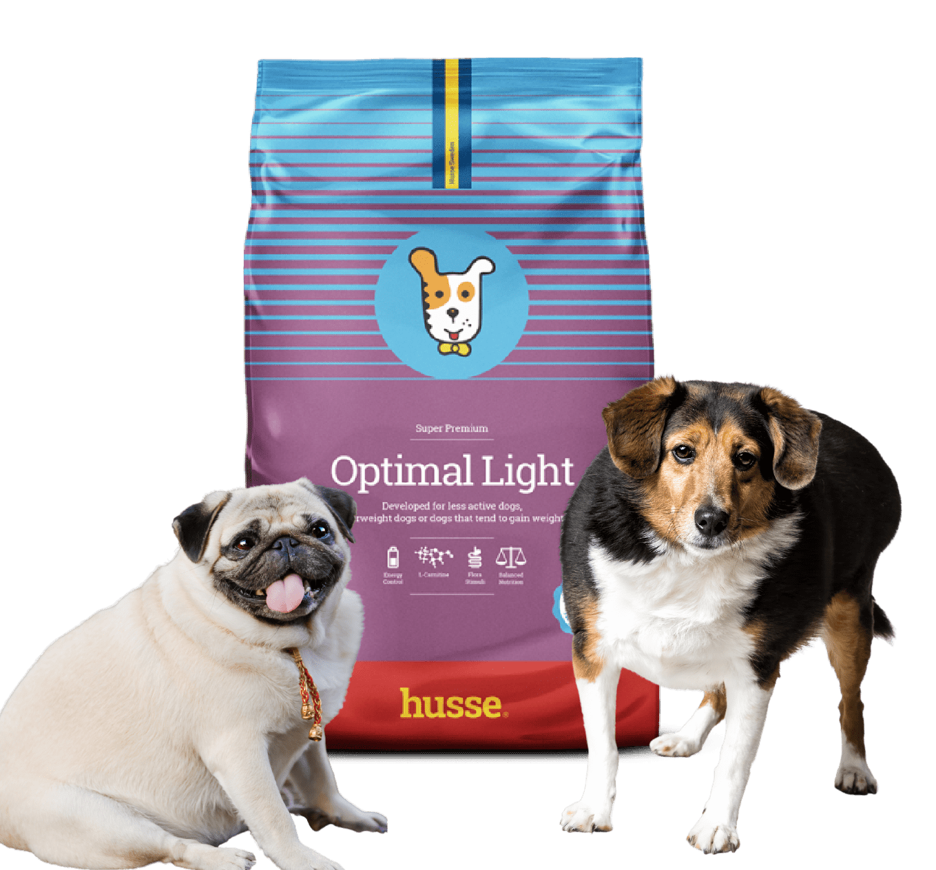Optimal Light