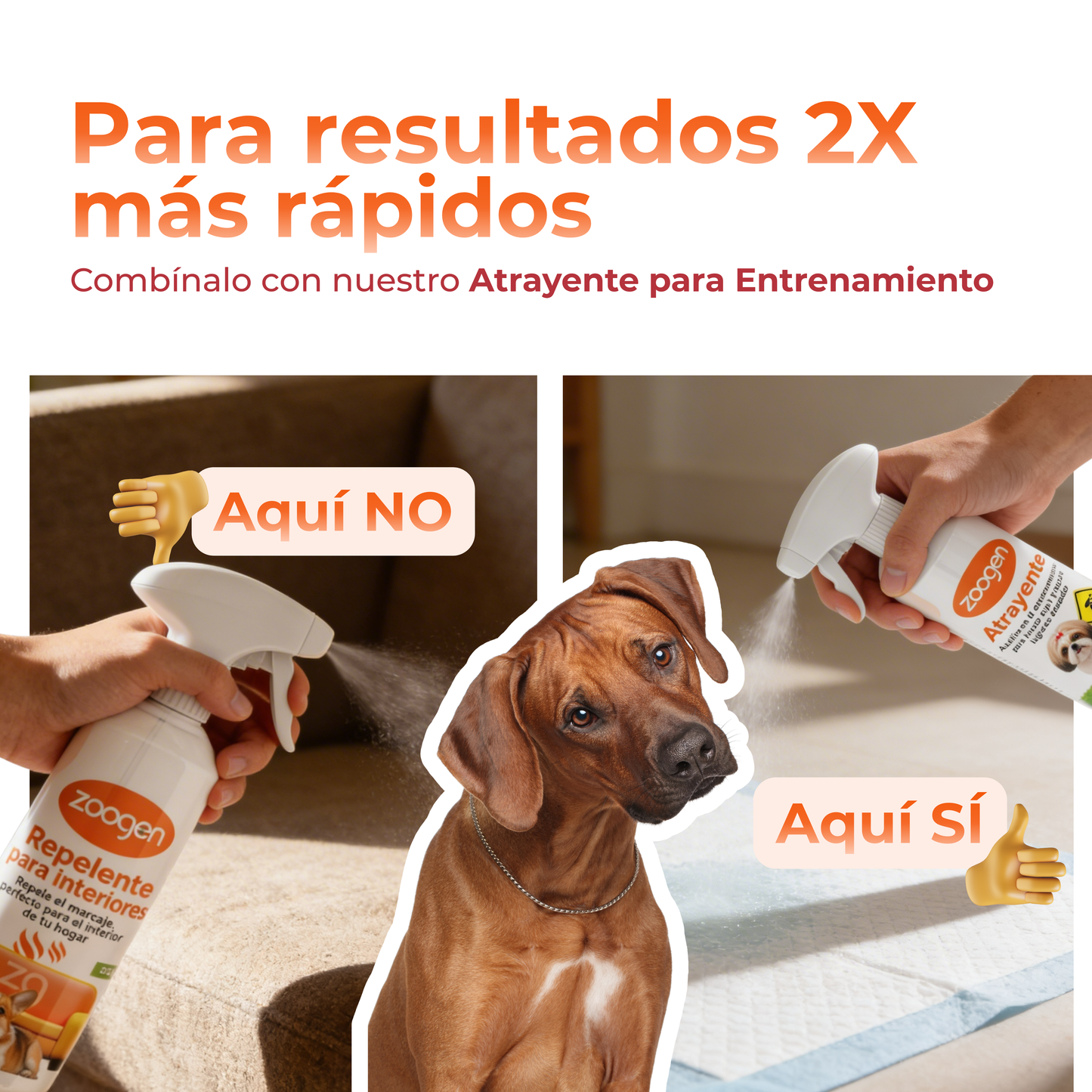 Repelente de Interiores para Perros - Evita Pipí y Popó en Casa