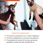 Terapia Floral - Adaptación ( perros , gatos, et c)