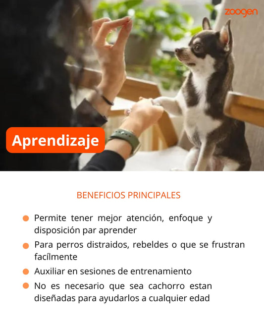 Terapia Floral - Aprendizaje (perros y gatos)