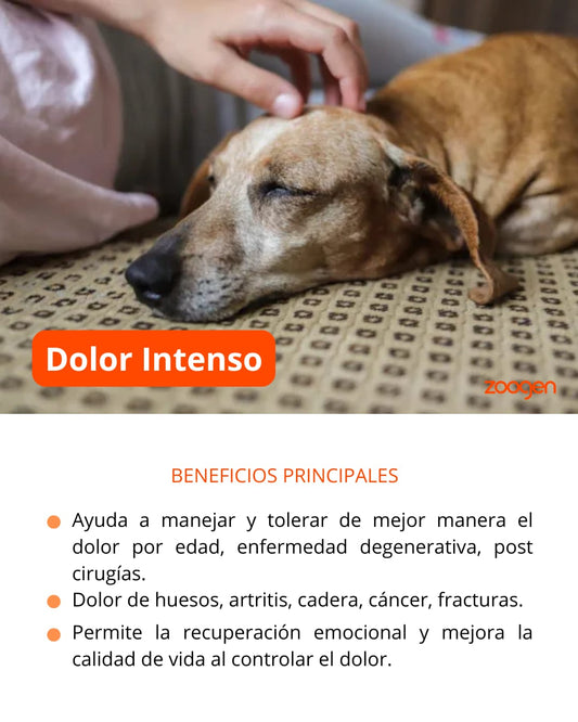 Terapia Floral - Dolor Intenso (perrosy gatos)