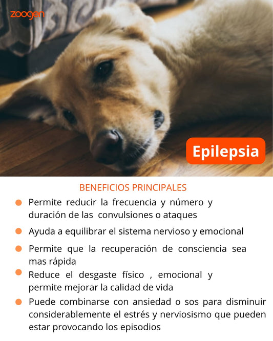 Terapia Floral - Epilepsia  (perros y gatos)