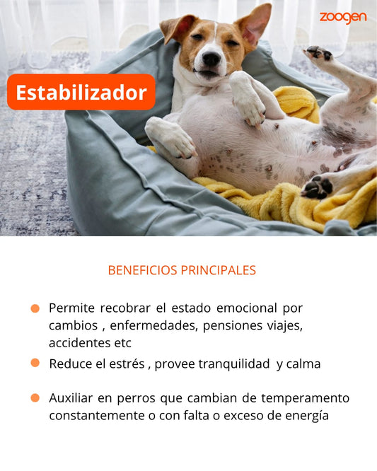 Terapia Floral  - Estabilizador (perros y gatos)