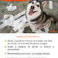 Terapia Floral - Hiperactividad (perros y gatos)