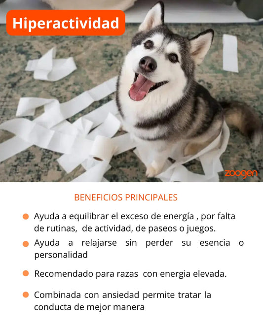 Terapia Floral - Hiperactividad (perros y gatos)