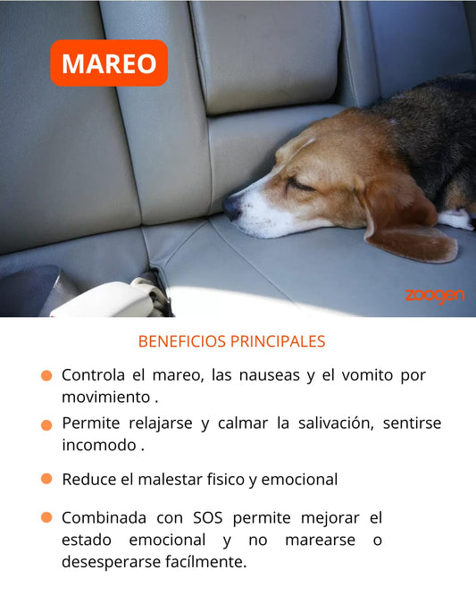 Terapia Floral  - Mareo (perros y gatos)