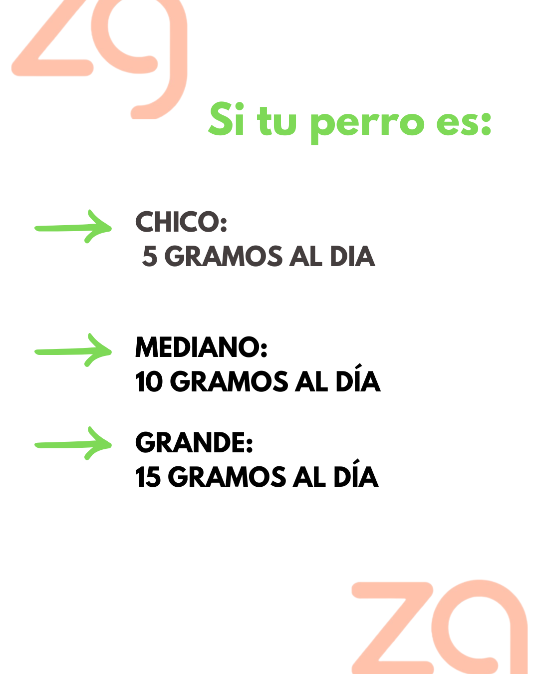 Riñón de Res Deshidratado - 40g