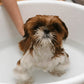 Shampoo Mi Primer Baño - 250 mL