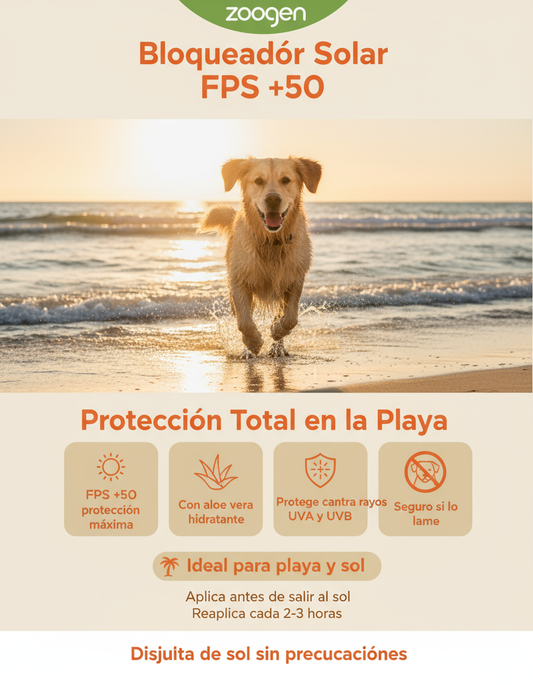 Bloqueador Solar - Playa