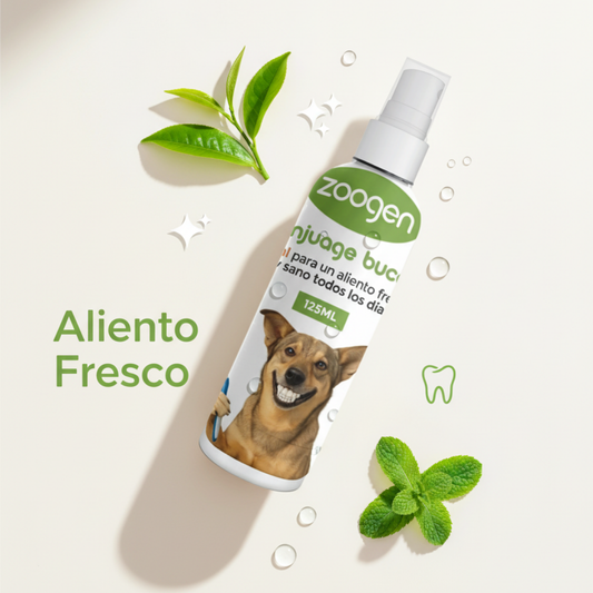 Enjuague Bucal Té Verde 🦷 - Desinflama Encías y Elimina Mal Aliento (perro y gato)