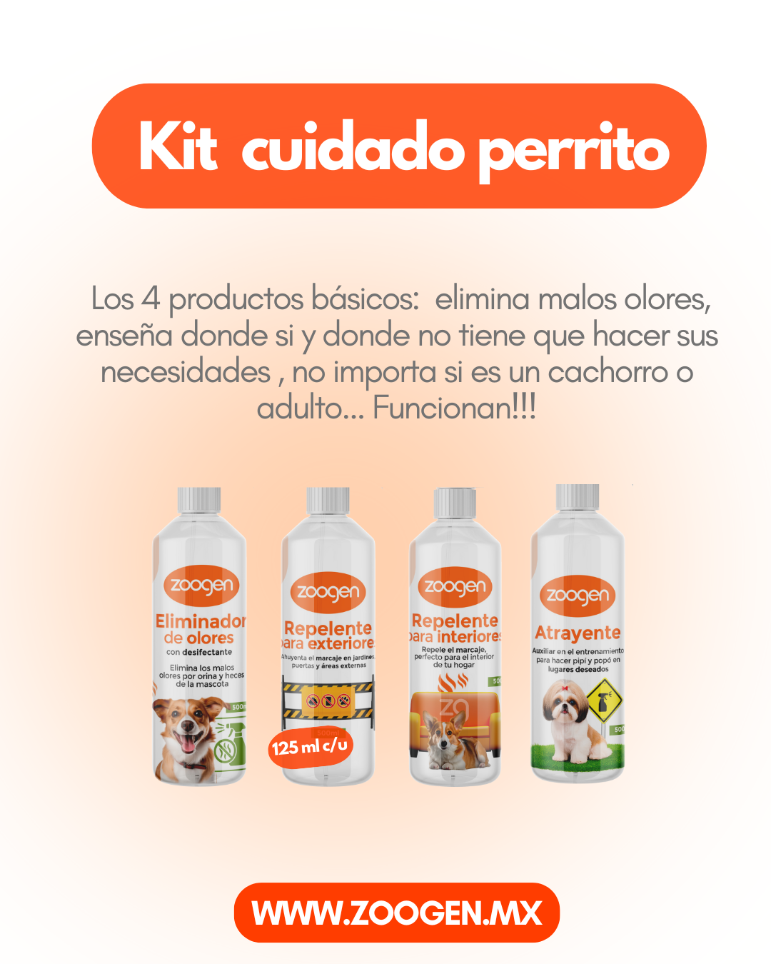 Kits