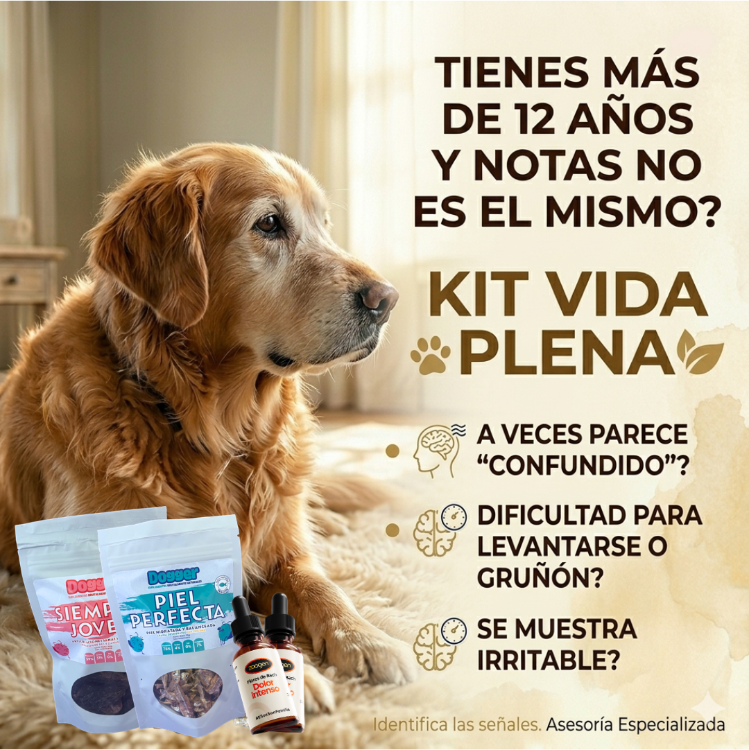 Kit "Vida Plena Senior" - Cuidado Integral para Perros de 12+ Años