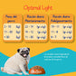 Optimal Light