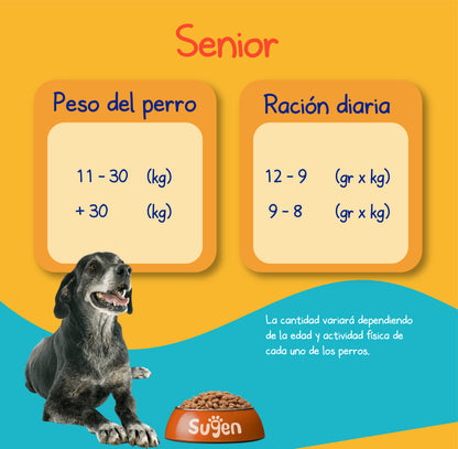 Senior